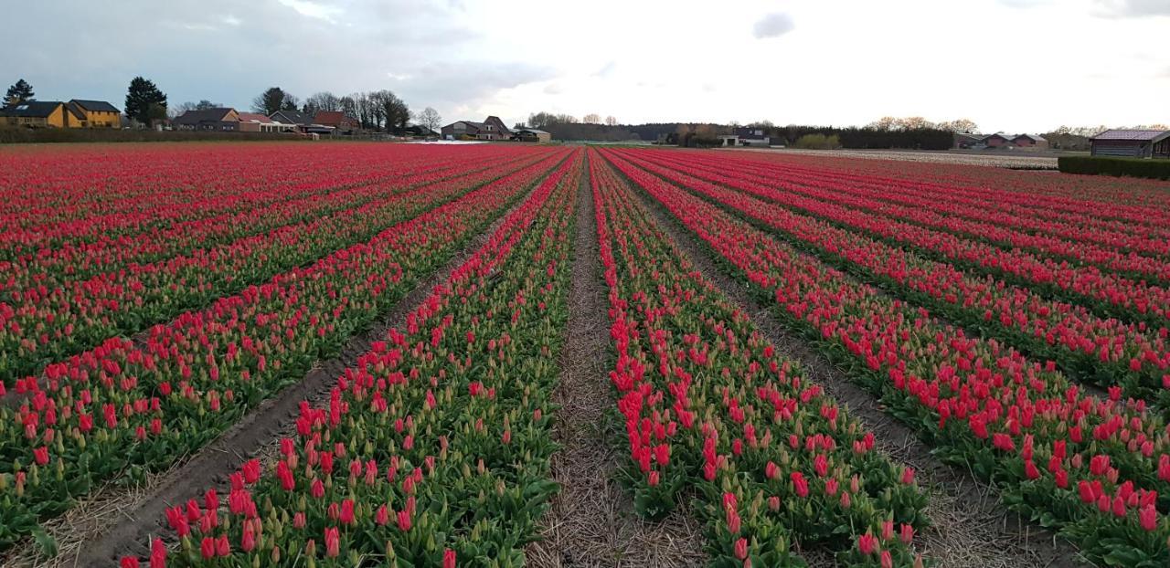 De Wagen Hotell Egmond-Binnen Eksteriør bilde